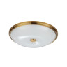 Накладной светильник Odeon Light 4956/5