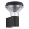 Светильник настенный ST-Luce SL9541.701.01