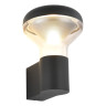 Светильник настенный ST-Luce SL9541.701.01