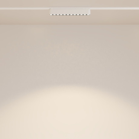 Светильник на шине Maytoni Technical TR082-1-12W3K-M-W
