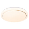 Накладной светильник Escada 10227/SG LED APP