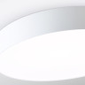 Накладной светильник Ambrella Light FZ1355