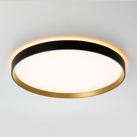 Накладной светильник Citilux CL750401R