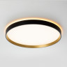 Накладной светильник Citilux CL750401R