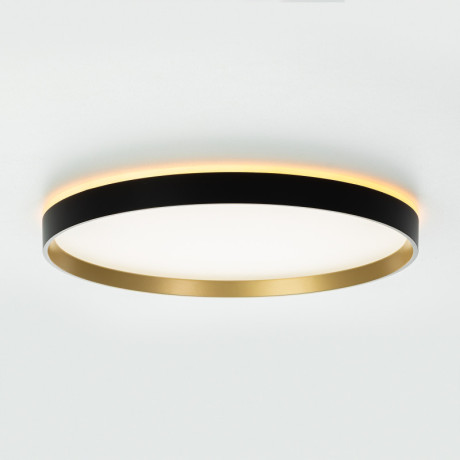 Накладной светильник Citilux CL750401R