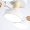 Люстра на штанге Ambrella Light FL4834