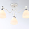 Накладной светильник Ambrella Light TR303302