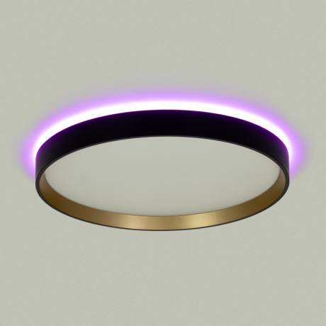 Накладной светильник Citilux CL750321R