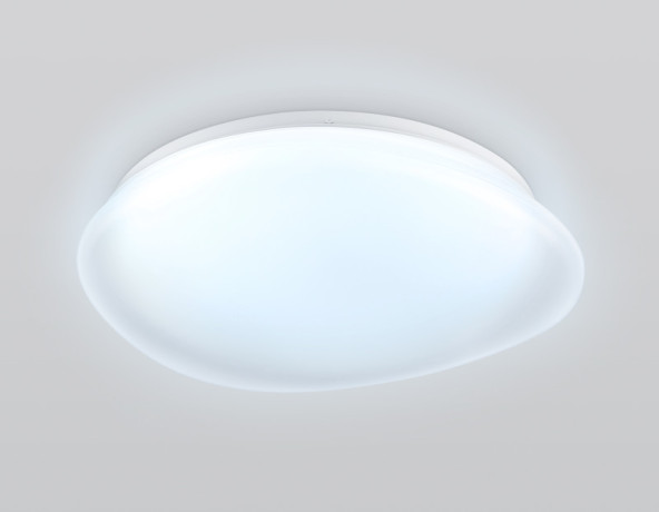 Накладной светильник Ambrella Light FZ1610