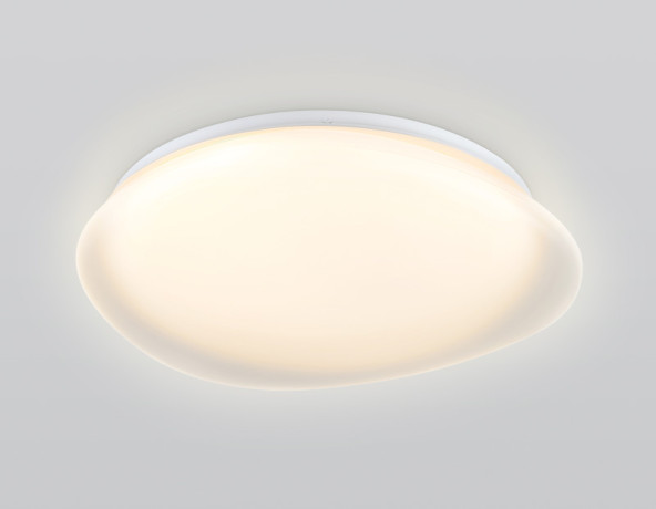 Накладной светильник Ambrella Light FZ1610