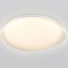Накладной светильник Ambrella Light FZ1610