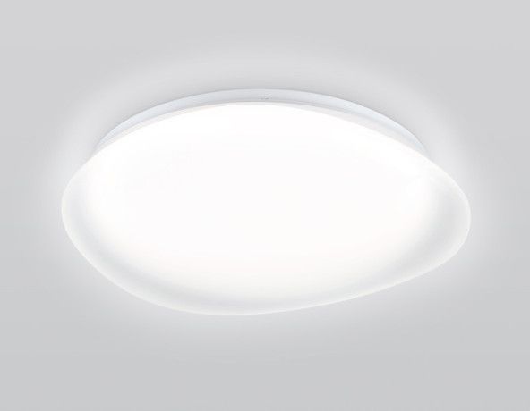 Накладной светильник Ambrella Light FZ1610