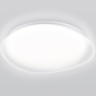 Накладной светильник Ambrella Light FZ1610
