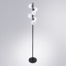 Торшер ARTE Lamp A2243PN-6BK