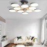 Накладная люстра ImperiumLoft 228857-26