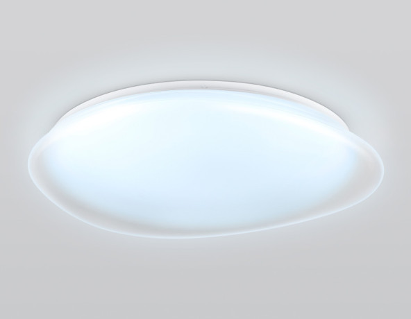 Накладной светильник Ambrella Light FZ1615