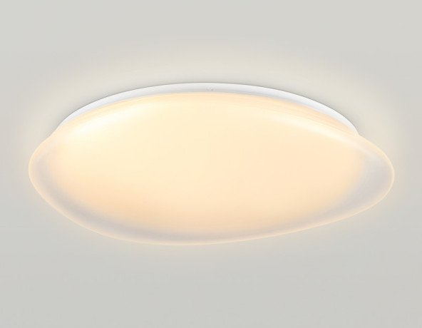 Накладной светильник Ambrella Light FZ1615