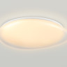 Накладной светильник Ambrella Light FZ1615