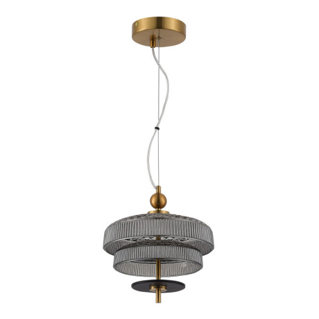 Подвесной светильник ST-Luce SL6122.303.01