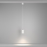 Подвесной светильник Maytoni P100PL-20W4K-W