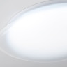 Накладной светильник Ambrella Light FZ1601