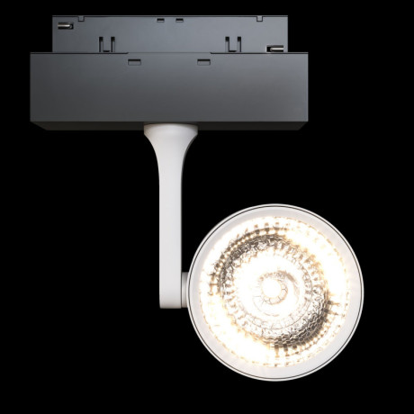 Светильник на шине Maytoni Technical TR024-2-10W3K