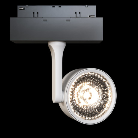 Светильник на шине Maytoni Technical TR024-2-10W3K