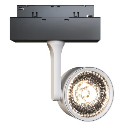 Светильник на шине Maytoni Technical TR024-2-10W3K