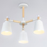 Люстра на штанге Ambrella Light TR82204