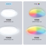 Накладной светильник Ambrella Light FZ1605