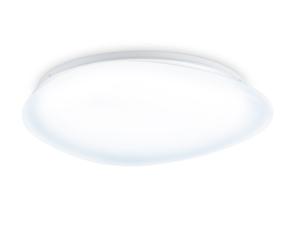 Накладной светильник Ambrella Light FZ1605