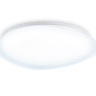 Накладной светильник Ambrella Light FZ1605