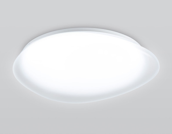 Накладной светильник Ambrella Light FZ1605
