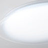 Накладной светильник Ambrella Light FZ1605