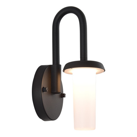 Светильник настенный ST-Luce SL9539.701.01