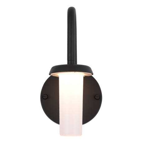 Светильник настенный ST-Luce SL9539.701.01