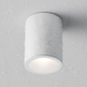 Влагозащищенный светильник Maytoni Technical C029CL-01W