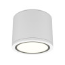Накладной светильник Maytoni Technical C095CL-GX53-W