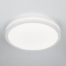 Накладной светильник Citilux CL711020V