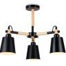 Люстра на штанге Ambrella Light TR82206