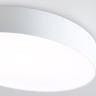 Накладной светильник Ambrella Light FZ1350