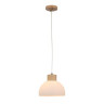 Подвесной светильник ARTE Lamp A4184SP-1BR