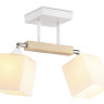 Люстра на штанге Ambrella Light TR9511