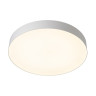 Накладной светильник Citilux CL755490
