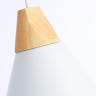 Подвесной светильник Ambrella Light TR8195
