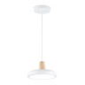 Подвесной светильник Ambrella Light FL4838