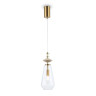 Подвесной светильник Ambrella Light LH53301