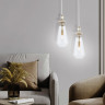 Подвесной светильник Ambrella Light LH53301