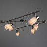 Спот ARTE Lamp A4510PL-6SS