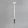 Торшер Citilux CL804020